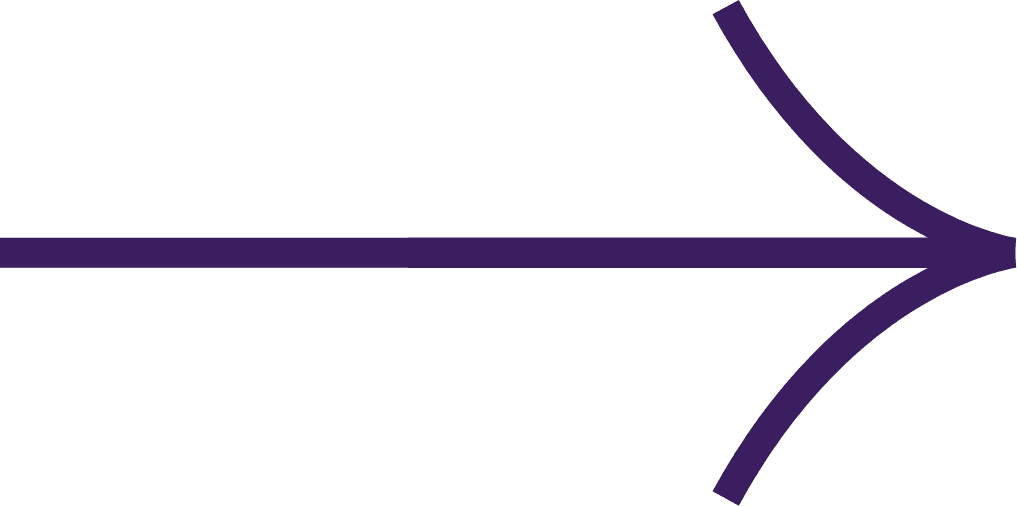 Seta